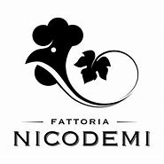 logo nicodemi